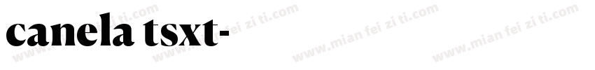 canela tsxt字体转换